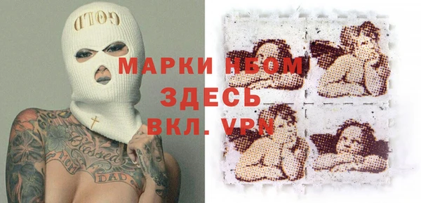 сатива Аркадак
