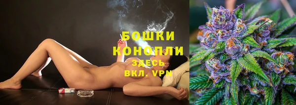 сатива Аркадак