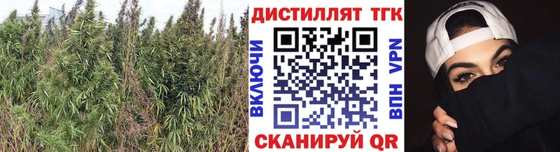 ТГК THC oil Приволжск
