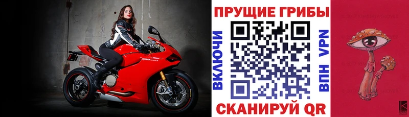 где найти MEGA рабочий сайт Псилоцибиновые грибы MAGIC MUSHROOMS Приволжск